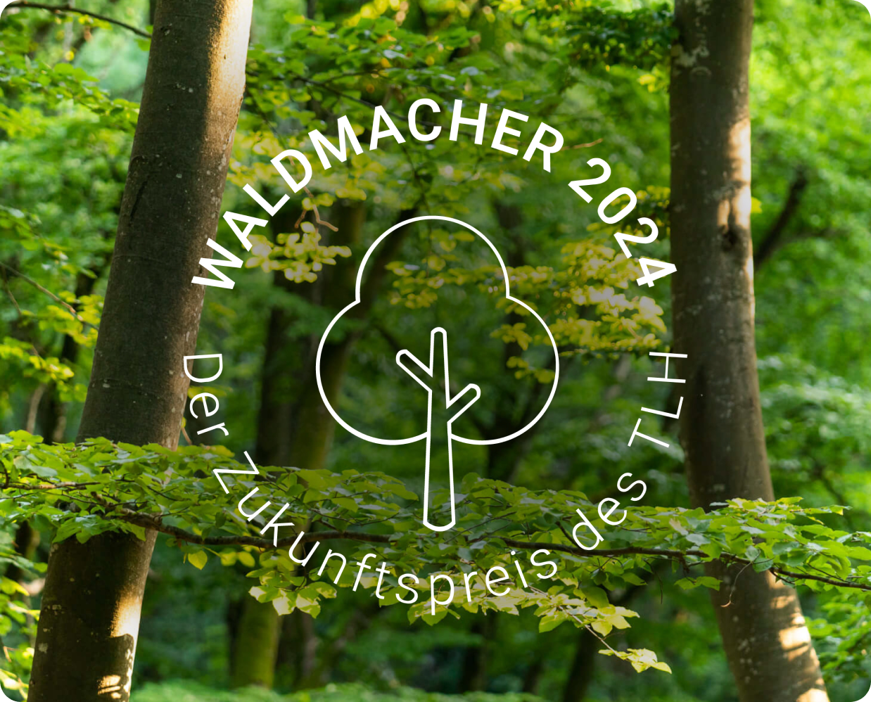 Laubholztage 2024